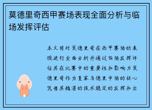 莫德里奇西甲赛场表现全面分析与临场发挥评估